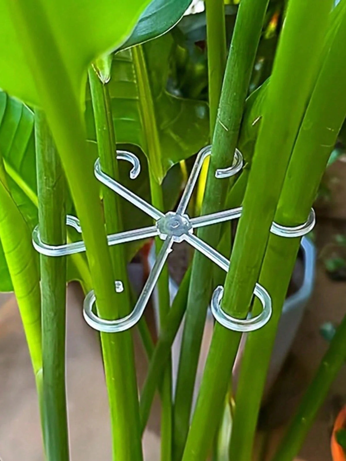 16/8/4/1pc Plant Support Clips, Plant Support Fasteners, Sturdy Stem Clips, Suitable For Climbing Plants