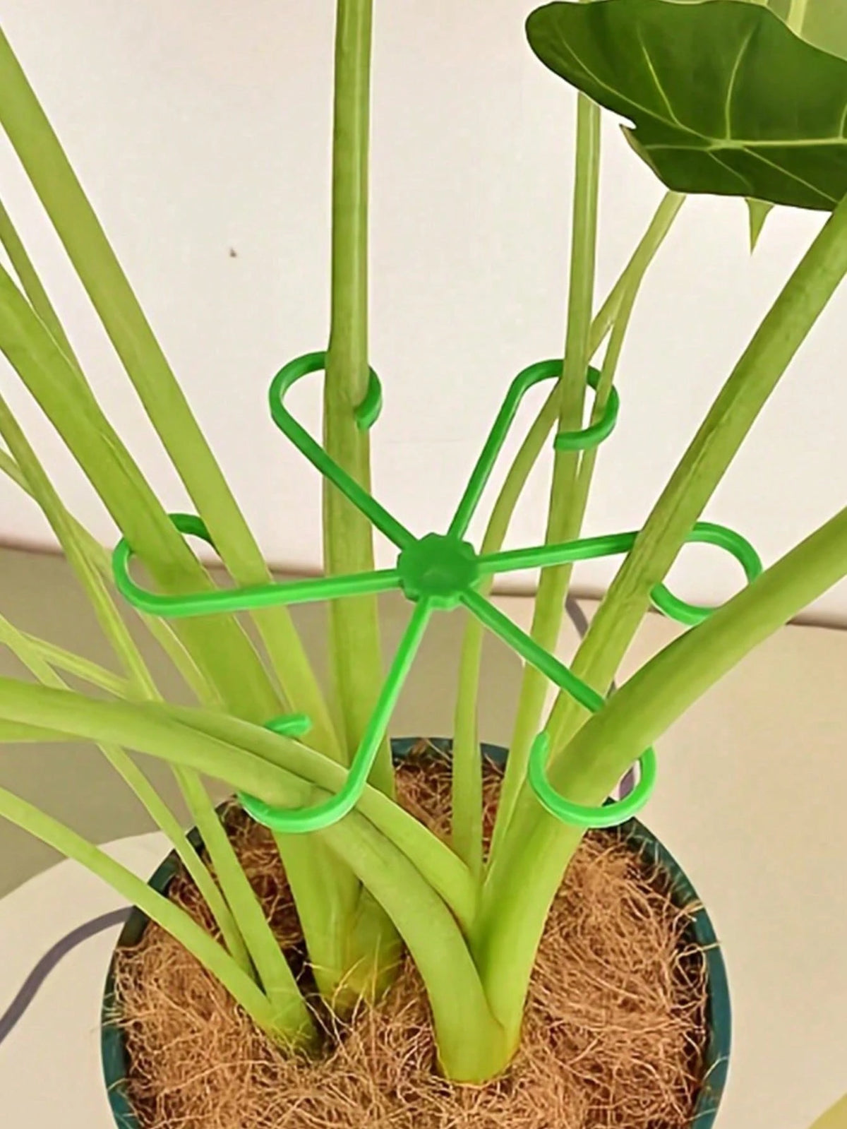 16/8/4/1pc Plant Support Clips, Plant Support Fasteners, Sturdy Stem Clips, Suitable For Climbing Plants