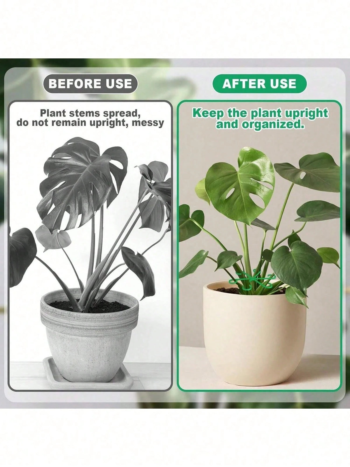 16/8/4/1pc Plant Support Clips, Plant Support Fasteners, Sturdy Stem Clips, Suitable For Climbing Plants