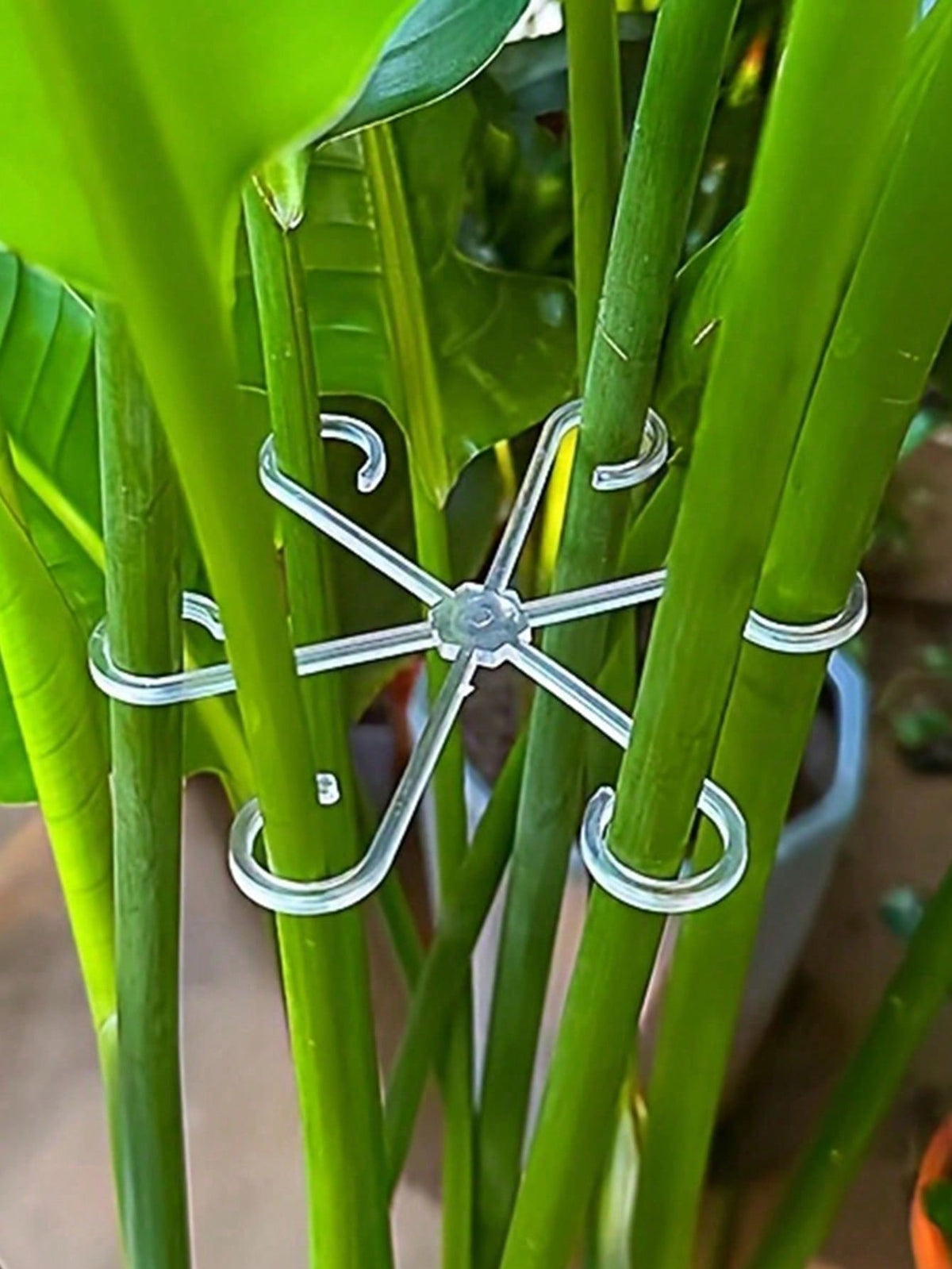 16/8/4/1pc Plant Support Clips, Plant Support Fasteners, Sturdy Stem Clips, Suitable For Climbing Plants