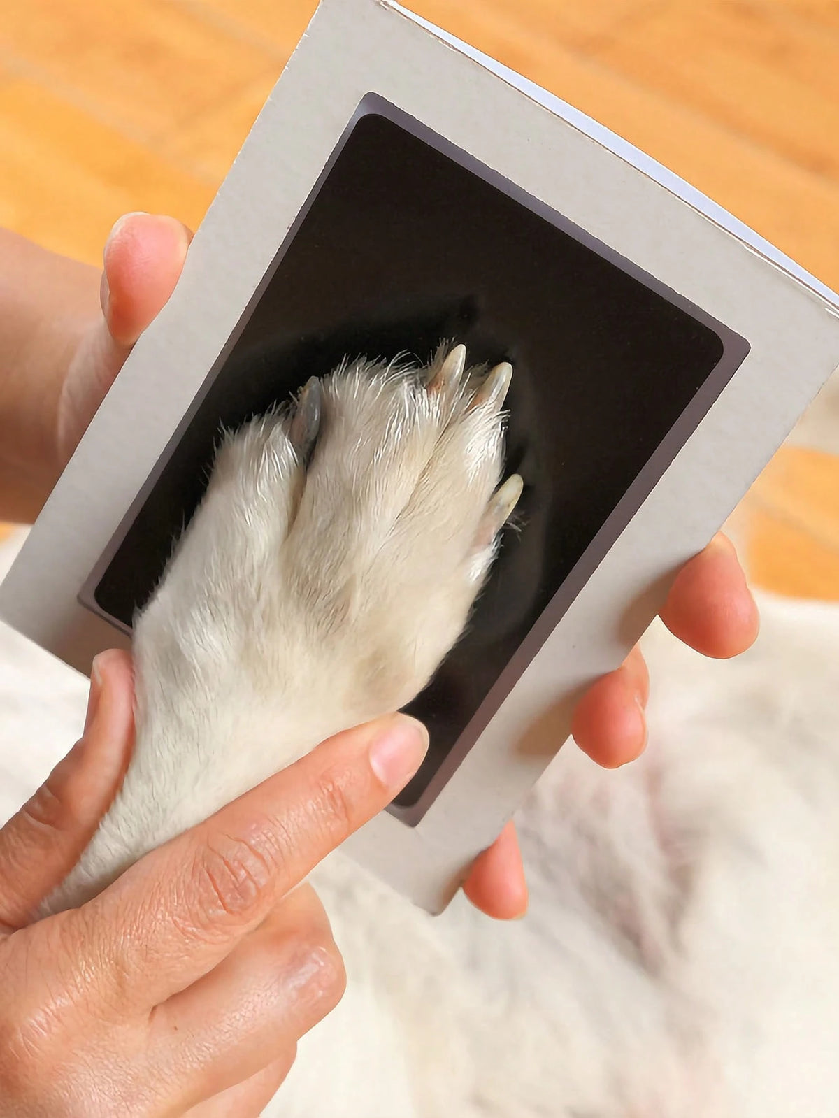 1pc/2pcs Pet Paw Print Set, Suitable For Cats & Dogs, Dog Paw Print Pad Set, Pet-Friendly Tactile Ink Pad, Ink-Free Handprint & Footprint Set- Pet Paw & Nose Print Ink Pad- Dog Paw Print Set. Thin V