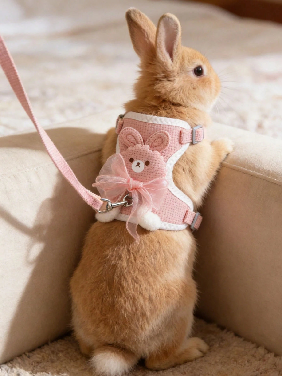 1pc Adjustable Rabbit Lace Bow Leash, Suitable For Small Pets And Rabbits, Small Pet And Animal Collar And Leash, Rabbit Harness With Adjustable Leash, Rabbit Supplies, Rabbit Pet Supplies, Hamster Su