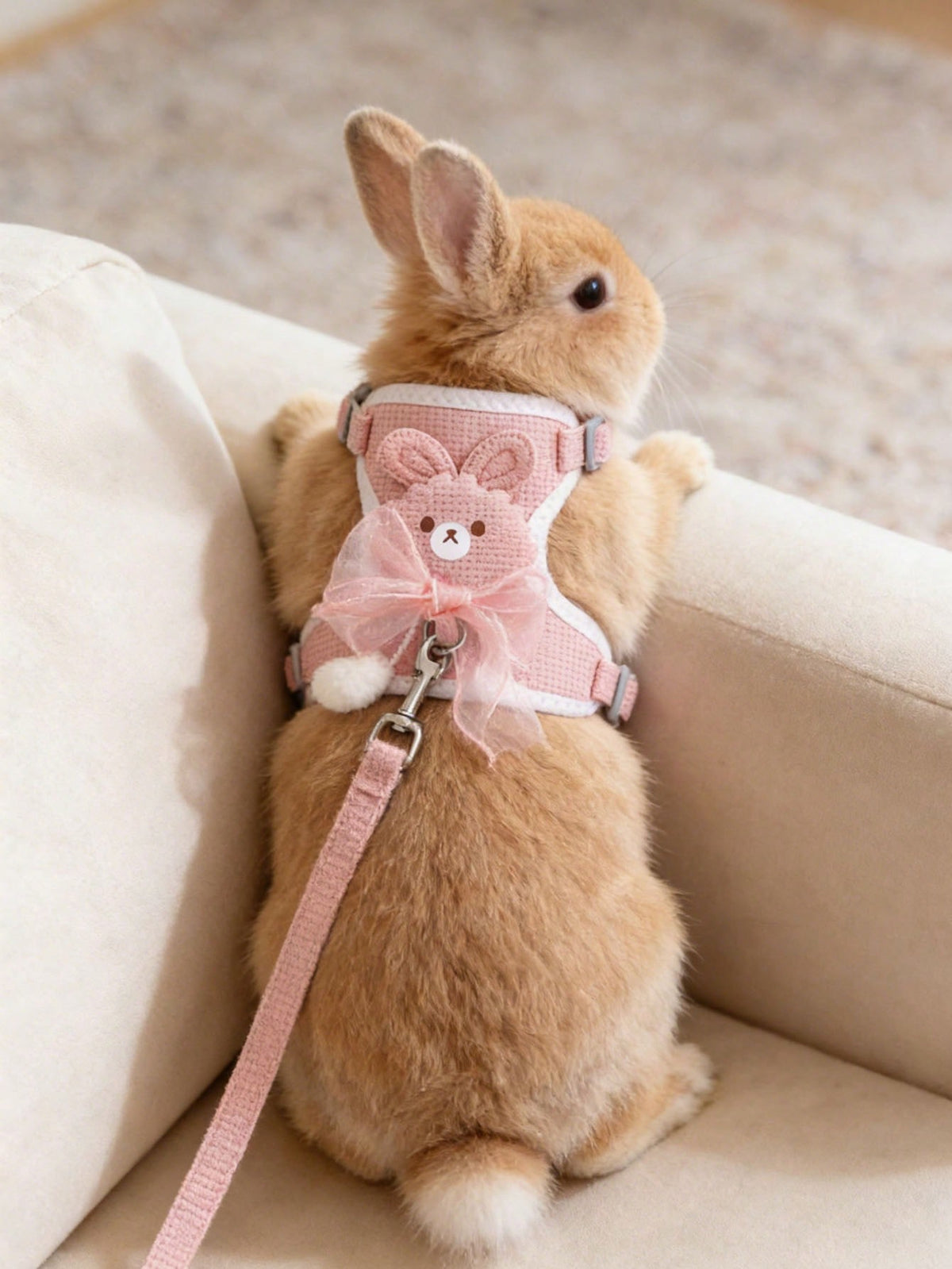 1pc Adjustable Rabbit Lace Bow Leash, Suitable For Small Pets And Rabbits, Small Pet And Animal Collar And Leash, Rabbit Harness With Adjustable Leash, Rabbit Supplies, Rabbit Pet Supplies, Hamster Su