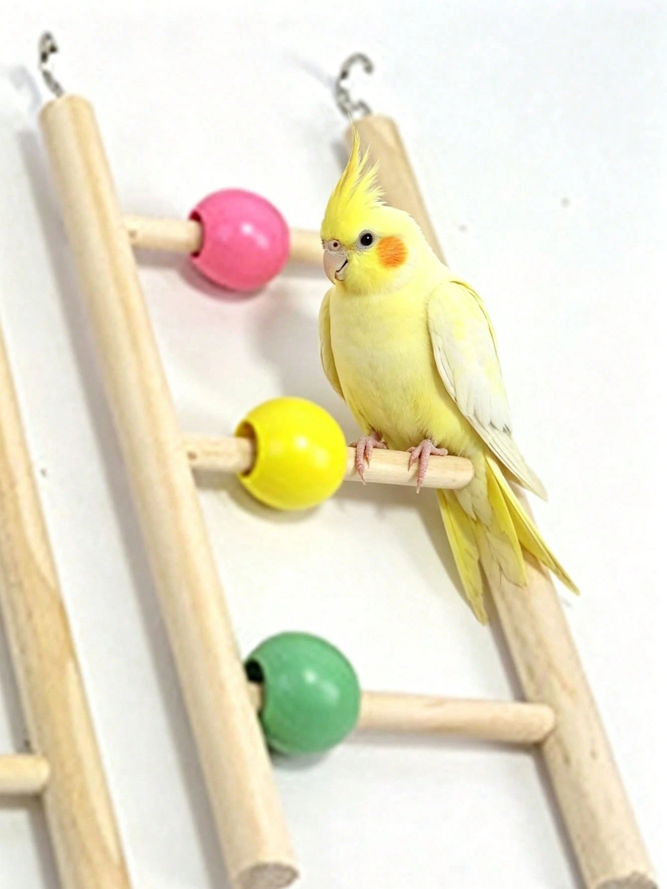 1pc Colorful Wooden Bead Parrot Ladder, Parrot Climbing Hook Entertainment Ladder, Suitable For Bird Education Supplies, Pet Bird Entertainment Toy, Pet Bird Play, Rest, Bird Cage Accessories, Parrot