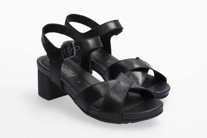 Beline - BLK SILK7800
