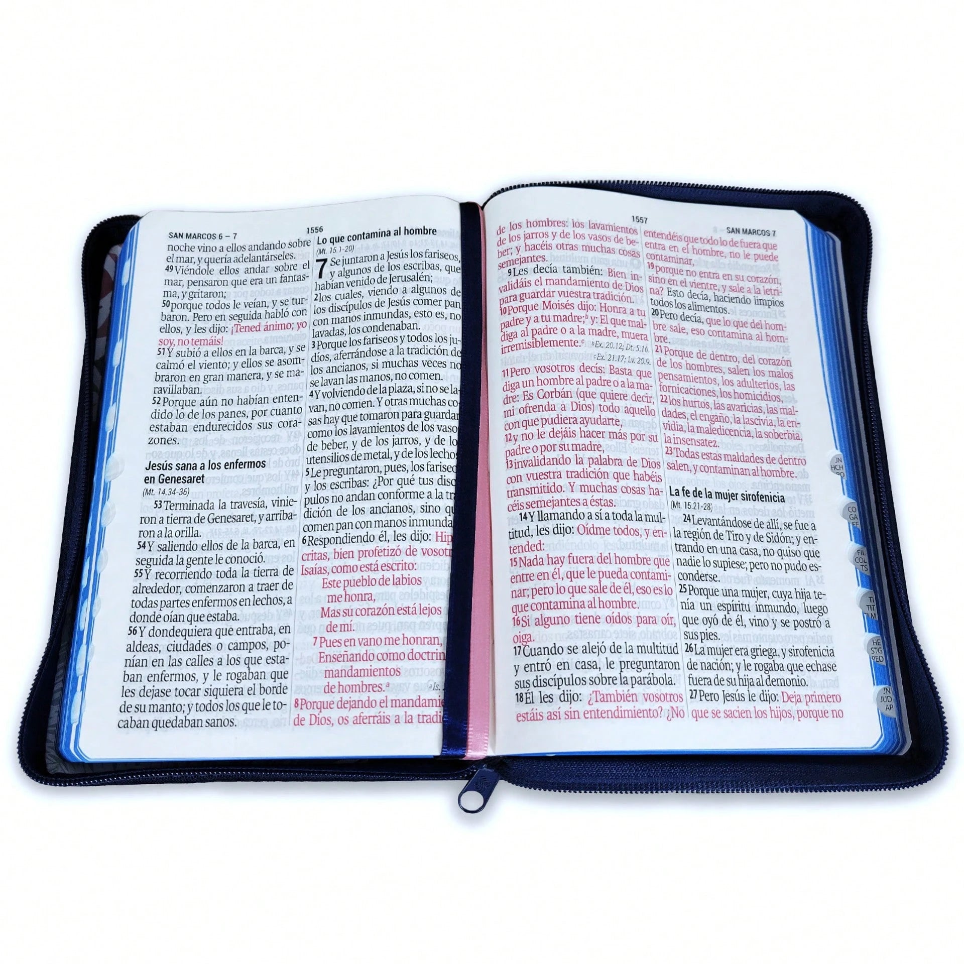 Biblia Para Mujer Letra Gigante Manual 14 Puntos Con Cierre RV1960: Imit. Piel Azul Floral Con Indice