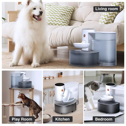 Booteely 1pc Smart Pet Water Fountain With Stainless Steel Water Bowl, Automatic Small Dog Water Fountain, Wireless Cat Water Fountain With Self-Filling Water Bowl, Cat Water Dispenser No Filter, Rech