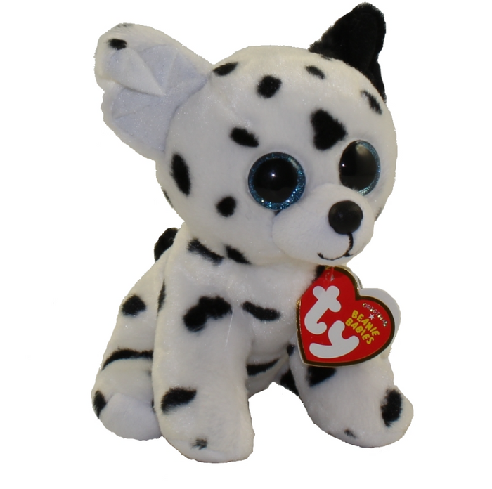 CATCHER - dalmatian reg
