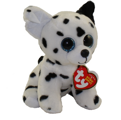 CATCHER - dalmatian reg