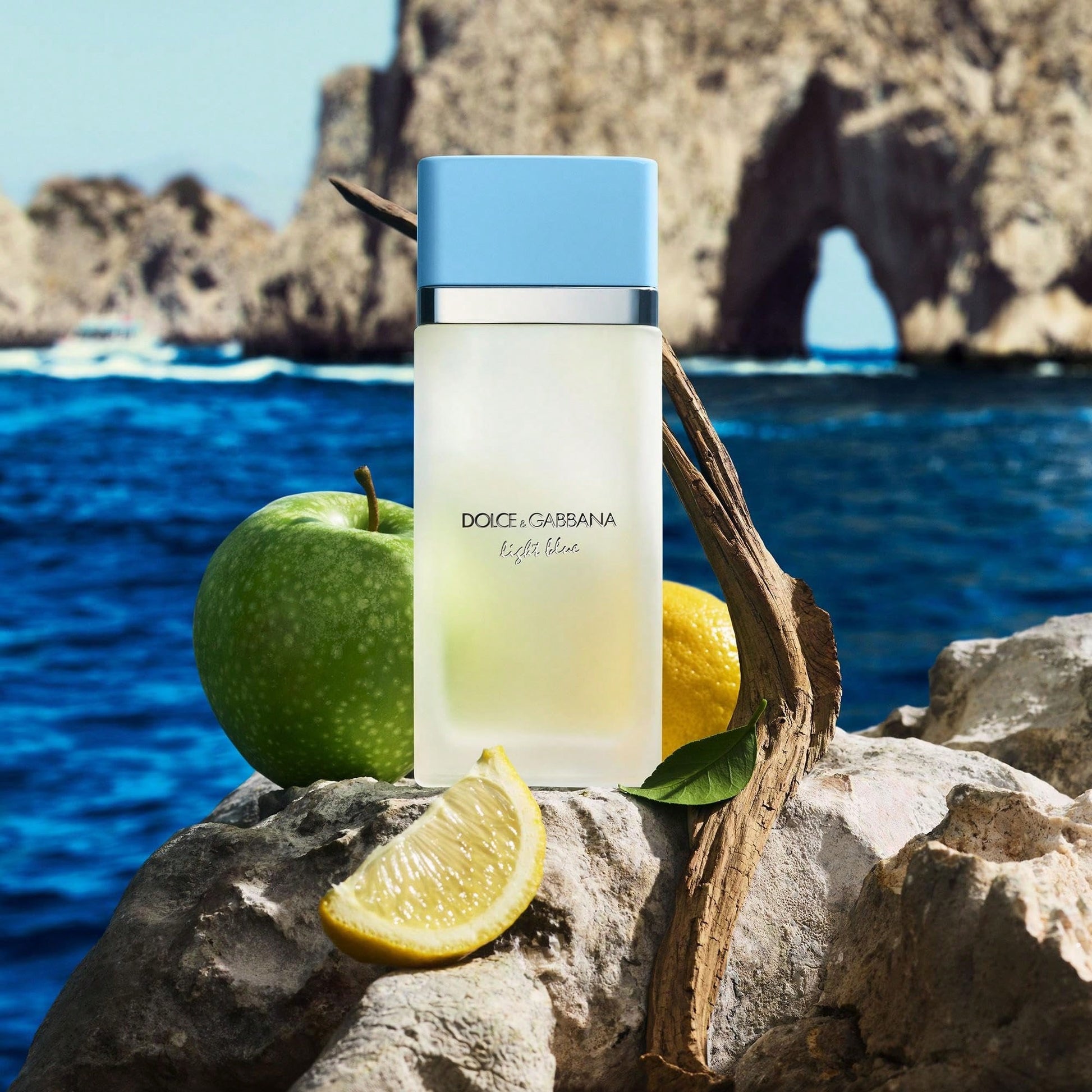 Dolce & Gabbana Dolce&Gabbana Light Blue EDT For Women- Fresh Citrus Floral Summer Perfume Spray 100ml