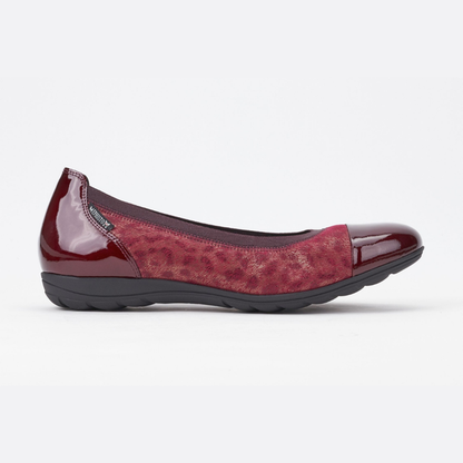 Elettra - Wine 4270/17674