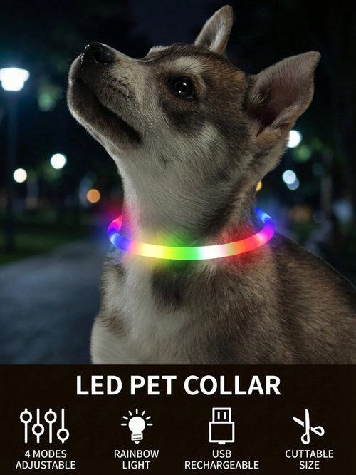 PETSIN 1pc Rechargeable Luminous Pet Collar, 4 Lighting Modes: Steady, Fast Flashing, Slow Flashing, Flowing, Suitable For Pets' Night Activity, Can Be Cut To Fit