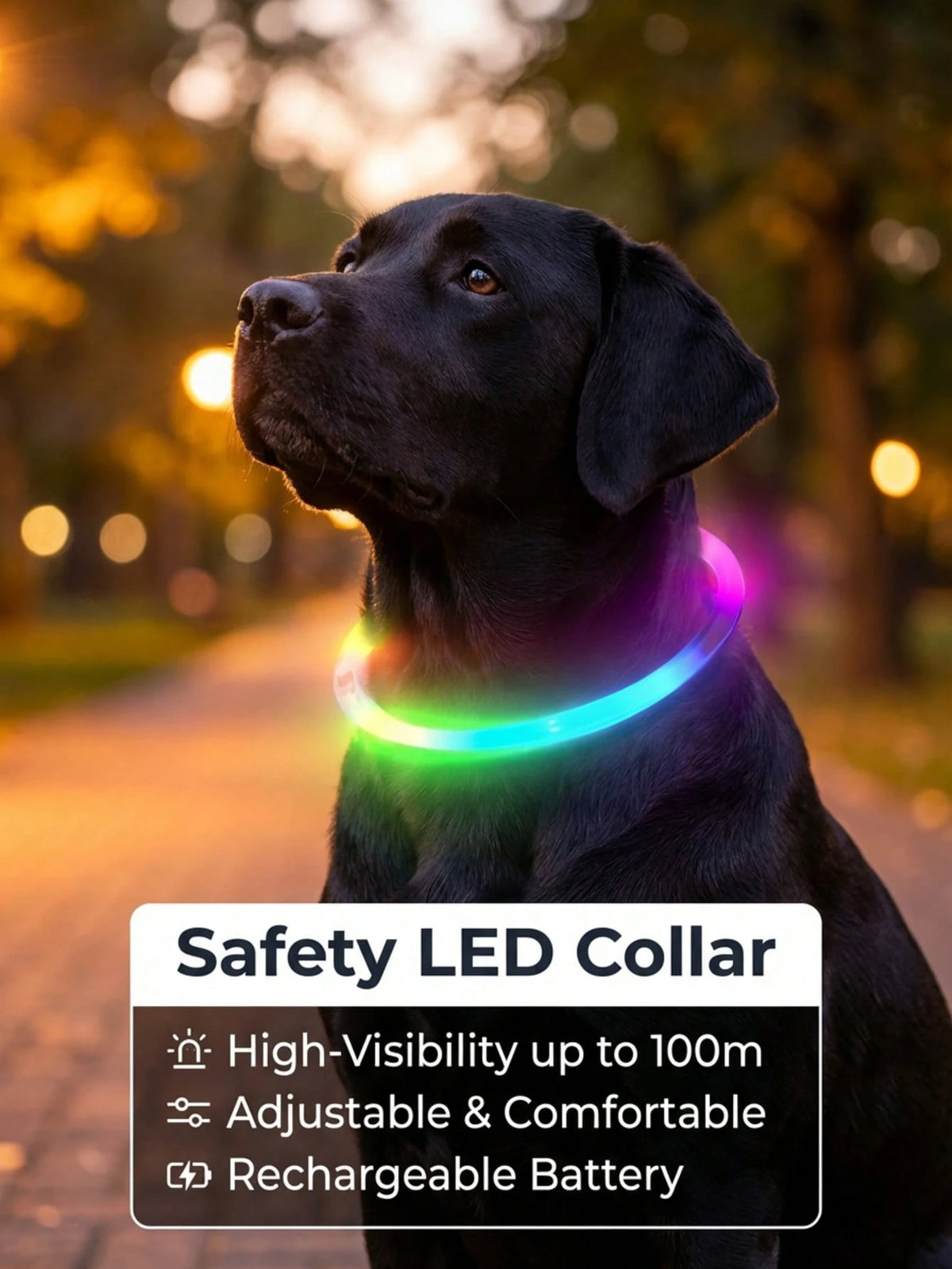 PETSIN 1pc Rechargeable Luminous Pet Collar, 4 Lighting Modes: Steady, Fast Flashing, Slow Flashing, Flowing, Suitable For Pets' Night Activity, Can Be Cut To Fit