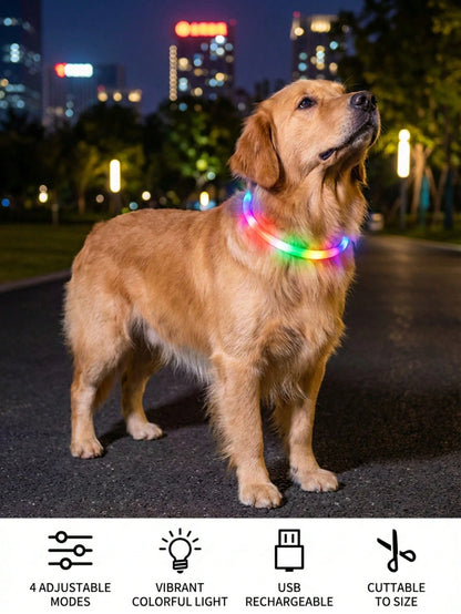 PETSIN 1pc Rechargeable Luminous Pet Collar, 4 Lighting Modes: Steady, Fast Flashing, Slow Flashing, Flowing, Suitable For Pets' Night Activity, Can Be Cut To Fit