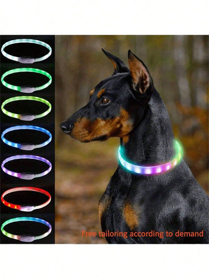 PETSIN 1pc Rechargeable Luminous Pet Collar, 4 Lighting Modes: Steady, Fast Flashing, Slow Flashing, Flowing, Suitable For Pets' Night Activity, Can Be Cut To Fit