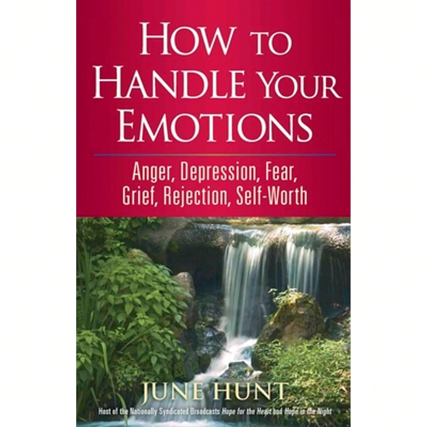 Pre-Owned How To Handle Your Emotions: Anger, Depression, Fear, Grief, Rejection, Self-Worth (Paperback) By June Hunt