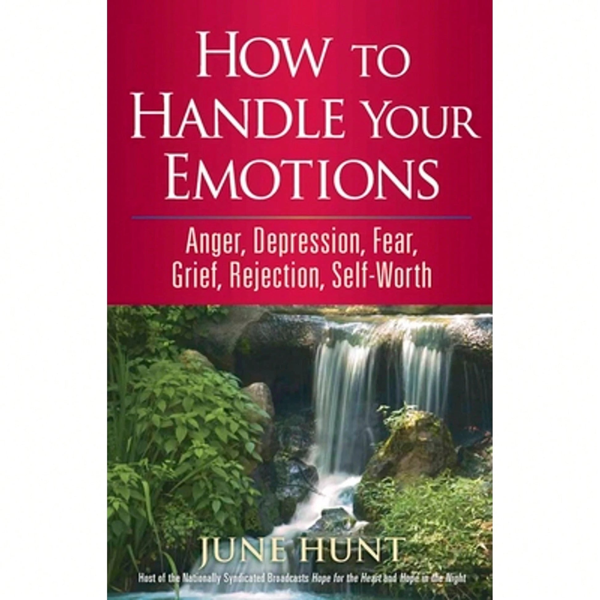 Pre-Owned How To Handle Your Emotions: Anger, Depression, Fear, Grief, Rejection, Self-Worth (Paperback) By June Hunt