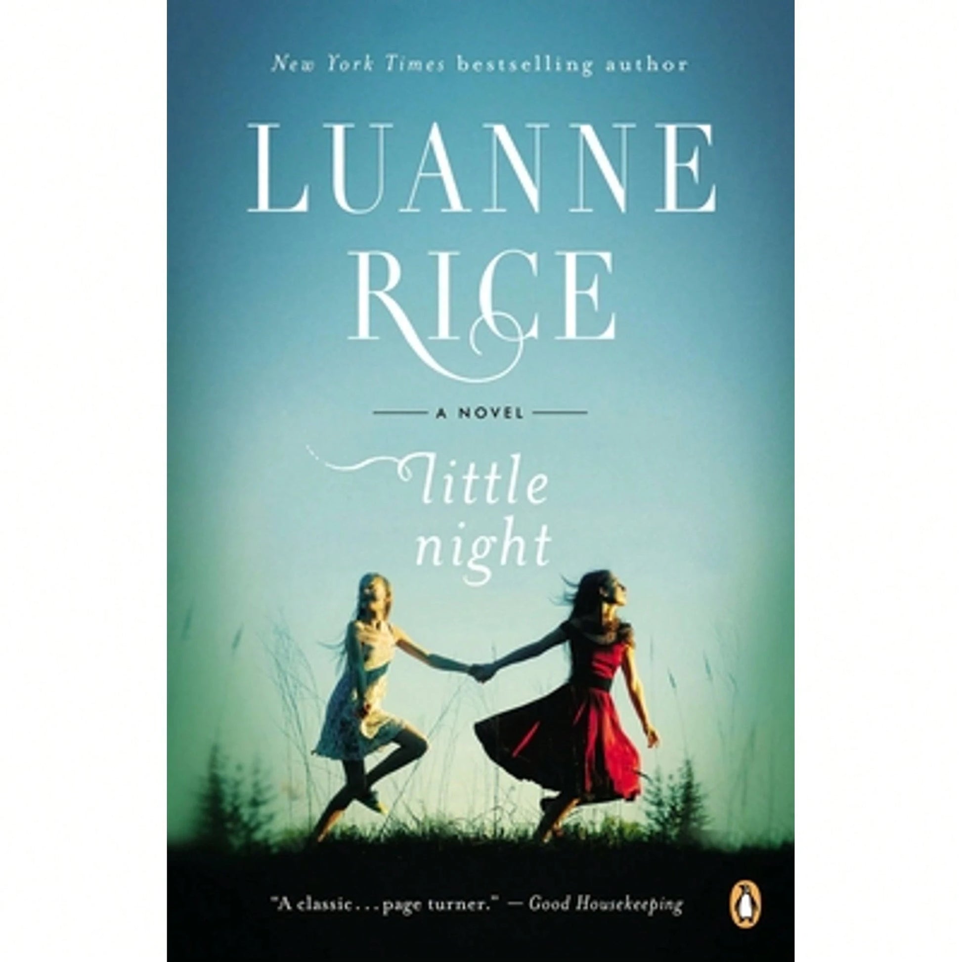 Pre-Owned Little Night (Paperback) By Luanne Rice