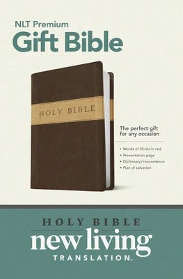 Pre-Owned NIV, Outreach Large Print Bible For Kids, Paperback (Paperback) By Zonderkidz