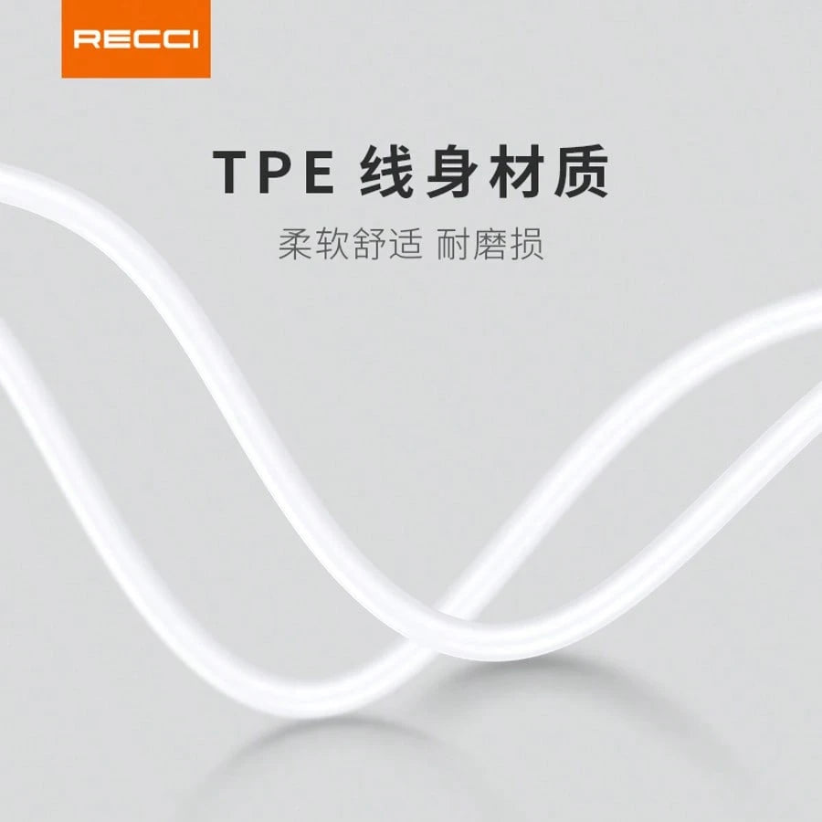 RECCI Multi-Specification Fast Charging Data Cable Set Includes RTC-P05C/P05L/P05CC/P05CL All Models Type-C/Lightning Dual Interface Fast Charging Cables Durable Braided Phone Charging Cables Compatib