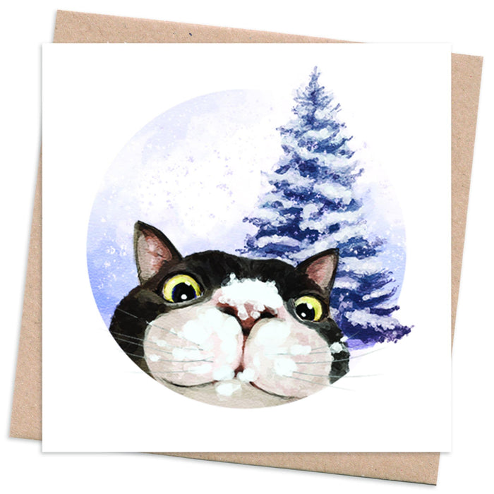 Recycled Christmas Card Box  10 Cards + 10 Trees Planted  Photobomb - cat