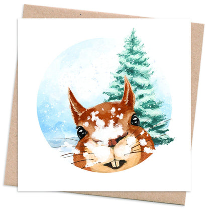 Recycled Christmas Card Box  10 Cards + 10 Trees Planted  Photobomb - squirrel
