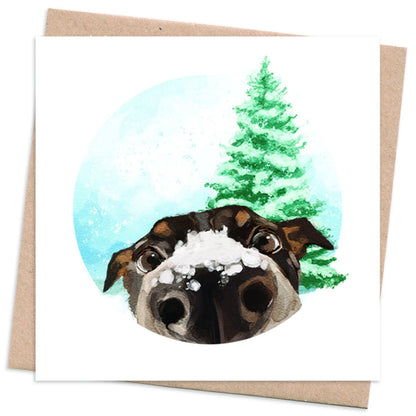 Recycled Christmas Card Box  10 Cards + 10 Trees Planted  Photobomb - dog