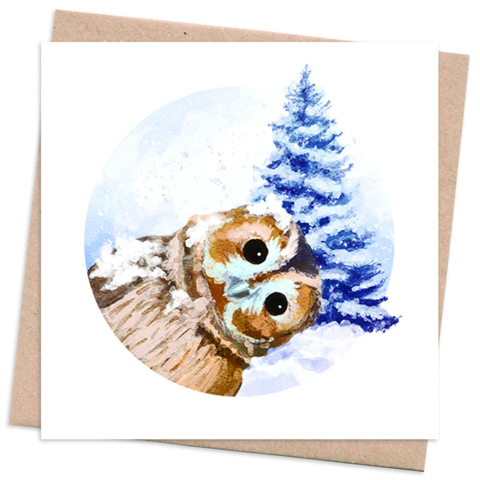 Recycled Christmas Card Box  10 Cards + 10 Trees Planted  Photobomb - owl