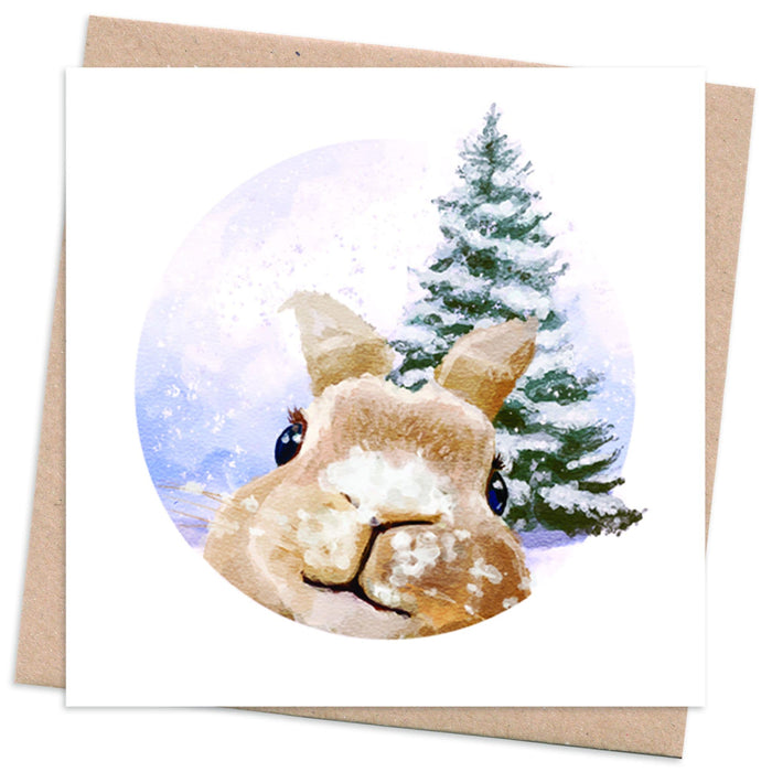 Recycled Christmas Card Box  10 Cards + 10 Trees Planted  Photobomb - rabbit
