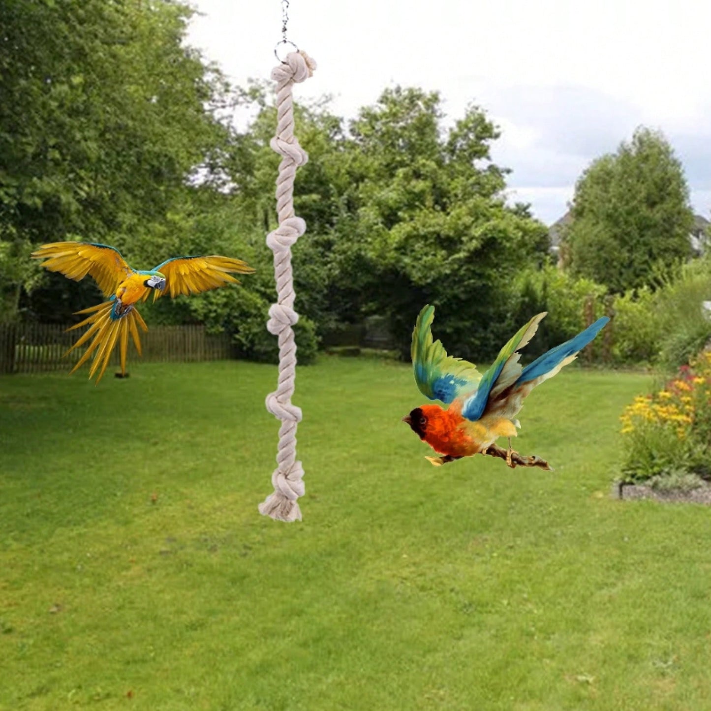 Swinging Cage With Knots, A Climbing Toy For Parrots, Perfect For Keeping Budgies Entertained.