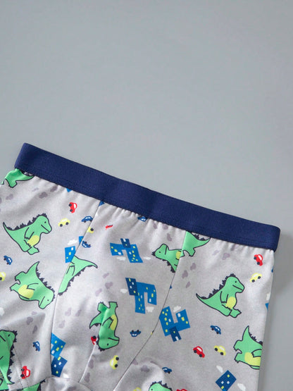 Tween Boy Cartoon Print Cute Comfortable 4-Pack Boxer Briefs